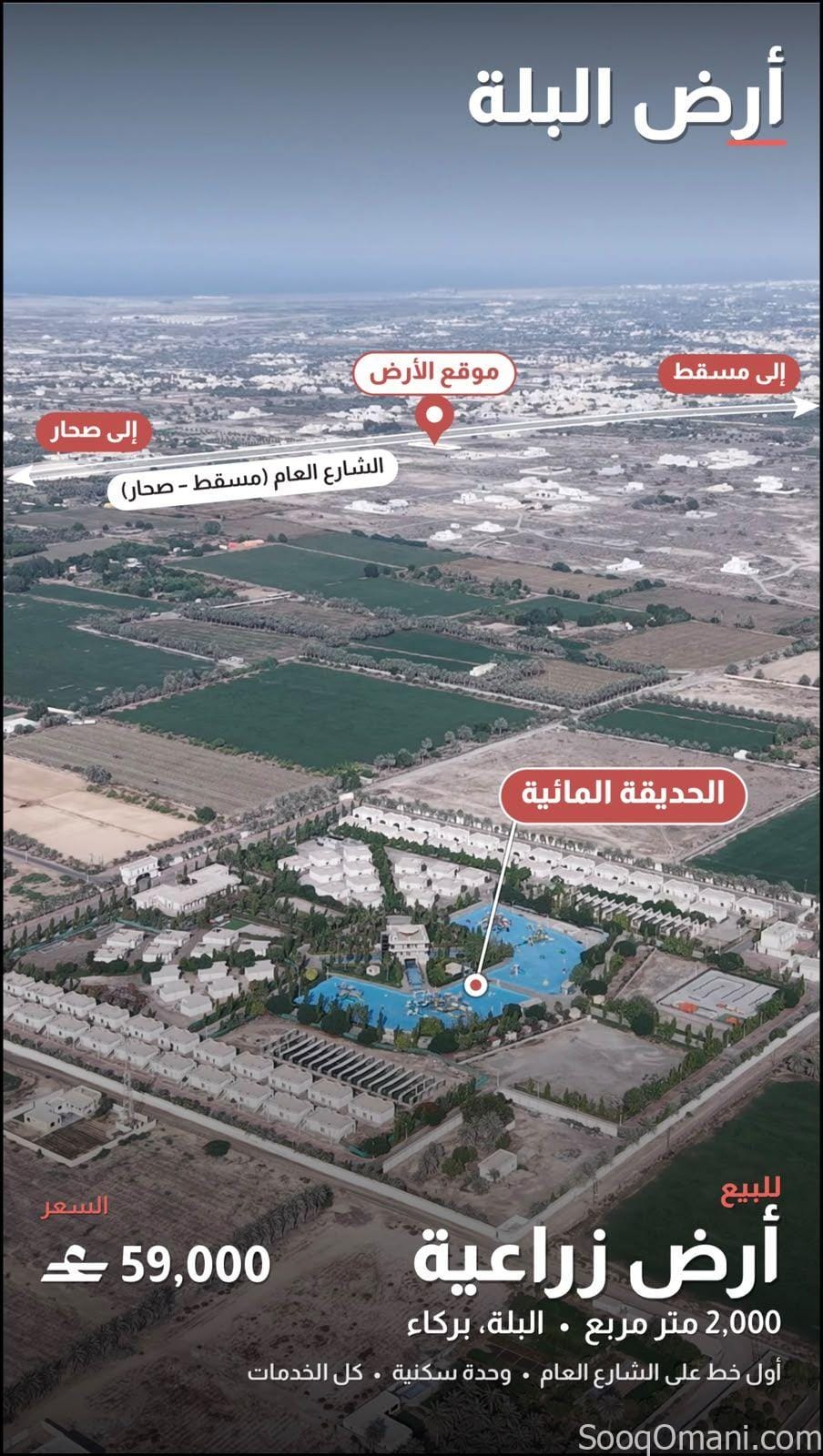 أرض زراعيه للبيع في بركاء