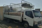 نقل عام ولاية عبري