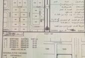 ارض سكنيه في البريمي مساحه 612