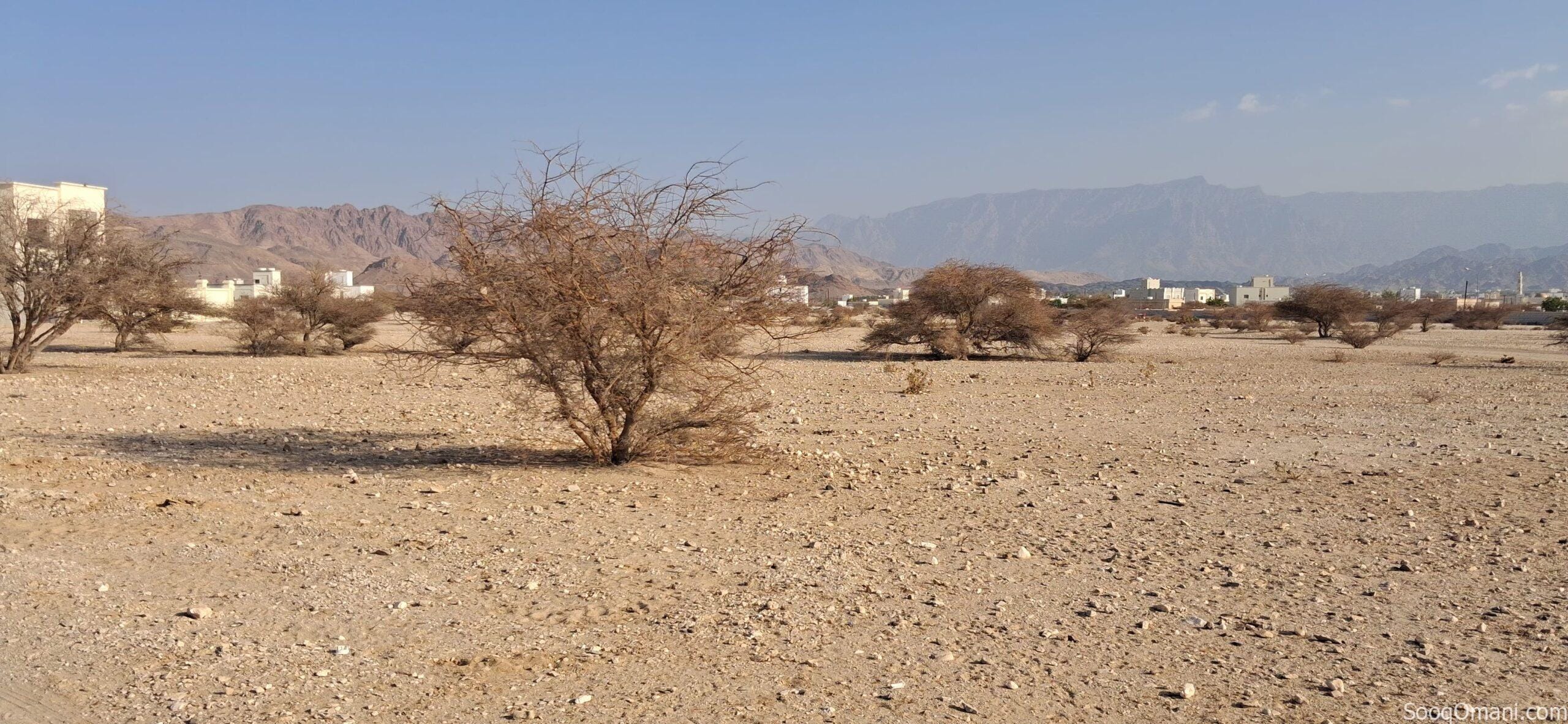 للبيع ارض سكنية العامرات حشية
