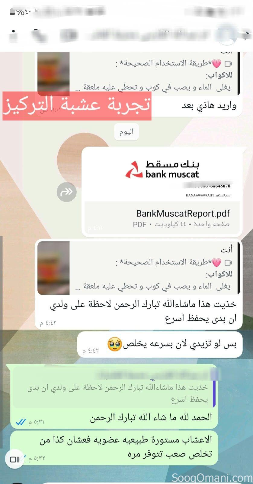 عشبة التركيز وتقوية الذاكرة وعدم النسيان ب٦ريال