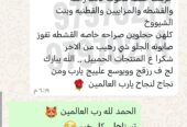 كريم القشطة