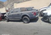 فورد رابتور 2019