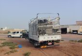 General transport services in Ibri and all other wilayats at the lowest prices